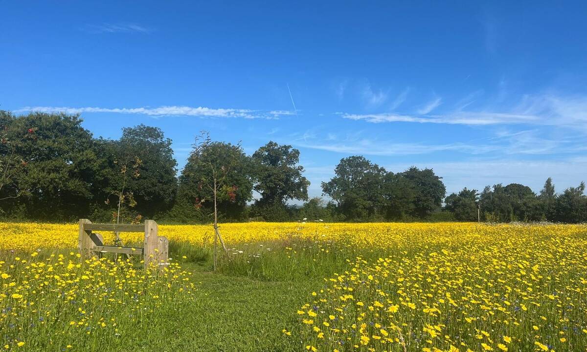 Seating in Monument Meadow Natural Burial Ground